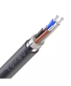 Кабель TOKOV ELECTRIC АВБШв 4х10 ОК (N) 0.66кВ (м) УТ000030770