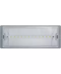 Светильник светодиодный 95 290 NEF-19 6Вт IP65 100лм 220-240В аккум. LiFePO4 600mAh аварийно-эвакуационный Navigator 95290