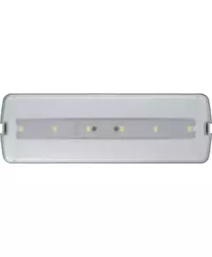 Светильник светодиодный 95 294 NEF-21 5Вт 300лм 220-240В IP20 акк. LiFePO4 1800мА.ч аварийно-эвакуационный NAVIGATOR 95294