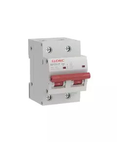 Выключатель автоматический модульный max типа MD125H 10кА 2п C 100А YON MD125H-2PC100