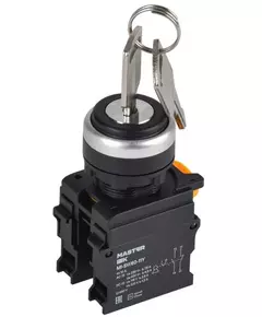 Переключатель 2 полож. 1НО+1НЗ с ключом черн. MASTER IEK MI-SW60-11Y-3-34-2-K02