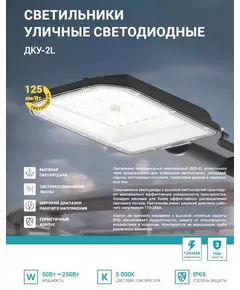 Светильник уличный линзованный светодиодный ДКУ-2L 200Вт 230В 5000К 25000лм 125лм/Вт 48-70мм IP65 NEOX 4690612057699