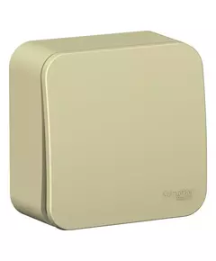 Выключатель 1-кл. ОП Blanca 10А IP20 (сх. 1) 250В с изолир. пластиной беж. SchE BLNVA101017