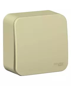 Переключатель 1-кл. ОП Blanca 10А IP20 (сх. 6) 250В с изолир. пластиной беж. SchE BLNVA106017