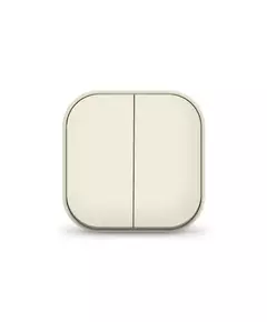 Выключатель 2-кл. 1п ОП 10А IP20 сл. кость IONICH 1425