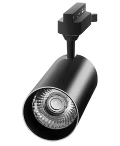 Светильник трековый PTR 1725 25Вт 4000К 24град. BL черн. IP40 Jazzway 5026124
