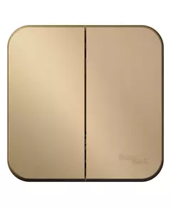 Выключатель 2-кл. ОП Blanca 10А IP20 (сх. 5) 250В с изолир. пластиной титан SchE BLNVA105014