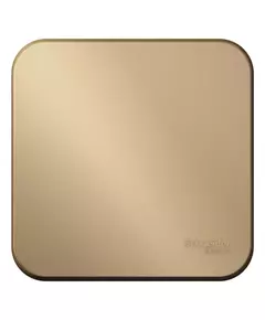 Переключатель 1-кл. ОП Blanca 10А IP20 (сх. 6) 250В с изолир. пластиной титан SchE BLNVA106014
