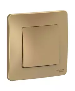 Выключатель 1-кл. СП Blanca 10А IP20 (сх. 1) 250В титан SchE BLNVS010104