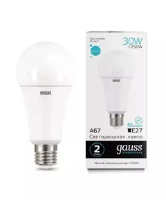 Лампа светодиодная Elementary A67 30Вт E27 4100К Gauss 73229