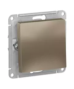 Механизм выключателя 1-кл. СП AtlasDesign 10А IP20 (сх. 1) 10AX шампань SchE ATN000511