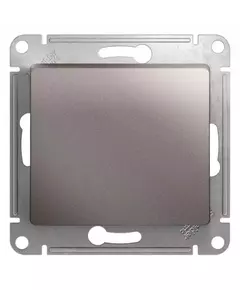 Механизм выключателя 1-кл. СП Glossa 10А IP20 (сх. 1) 10AX платина SchE GSL001211