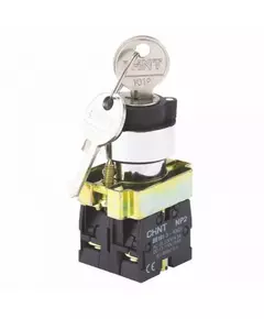 Переключатель NP2-BG25 2 полож. с фиксацией 1НЗ +1НО IP40 CHINT 574854