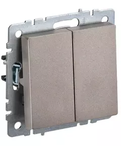 Выключатель проходной 2-кл. СП BRITE ВС10-2-6-БрШ 10А шампань IEK BR-V22-0-10-K37