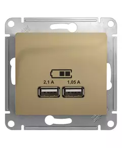 Розетка USB 2-м СП Glossa тип A+A 5В/2100мА 2х5В/1050мА механизм титан SchE GSL000433