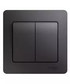 Выключатель 2-кл. СП Glossa 10А IP20 (сх. 5) 10AX в сборе графит SchE GSL001352