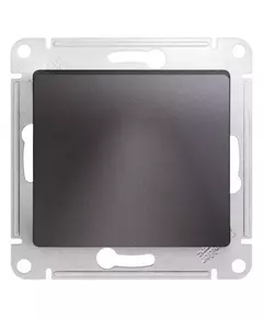 Вывод кабеля Glossa механизм графит SchE GSL001399