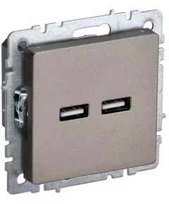 Розетка BRITE USB A+A 3.1А РЮ10-1-БрШ шампань IEK BR-U21-D31-K37
