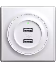 Розетка USB 2-м СП Florence 16А IP20 с подсветкой механизм бел. 1E10351300 OneKeyElectro 2260089