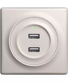 Розетка USB 2-м СП Florence 16А IP20 с подсветкой механизм беж. 1E10351301 OneKeyElectro 2260090