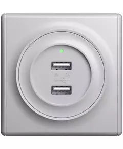 Розетка USB 2-м СП Florence 16А IP20 с подсветкой механизм сер. 1E10351302 OneKeyElectro 2260091