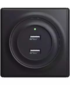 Розетка USB 2-м СП Florence 16А IP20 с подсветкой механизм черн. 1E10351303 OneKeyElectro 2260092