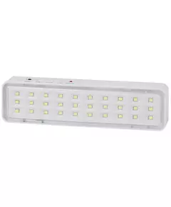 Светильник светодиодный DBA-101-0-20 30LED 5ч IP20 аварийный непостоянный Эра Б0044394