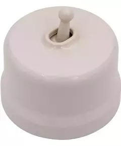 Выключатель 1-кл. (тумблерный) пластик песочн. зол. Bironi B1-230-24