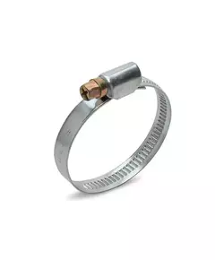 Хомут червячный PL-9 (140-160 )/W1 (уп.10шт) Fortisflex 68996
