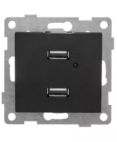 Розетка USB 2-м СП Bravo механизм графит GUSI С10USB2-010