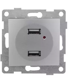 Розетка USB 2-м СП Bravo механизм серебр. GUSI С10USB2-004