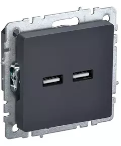 Розетка BRITE USB A+A 3.1А РЮ10-1-БрГ графит IEK BR-U21-D31-K53