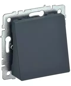 Вывод кабеля BRITE МВ10-БрГ граф. IEK BR-VK10-0-K53