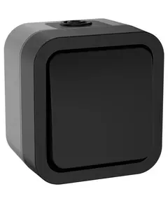 Выключатель кнопочный 1-кл. ОП TORS 10А IP55 TS110 графит IEK TS-V14-0-10-55-K53