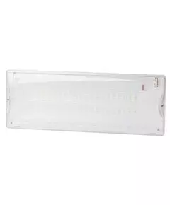 Светильник светодиодный DPA-301-1-65 IP65 40LED 3ч аварийный постоянный Эра Б0051843