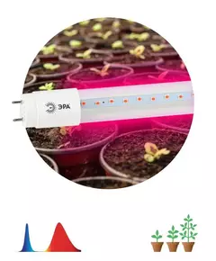 Лампа светодиодная FITO-18W-RB-Т8-G13-NL 18Вт T8 линейная 96LED 2835 IP20 35000ч для растений/для подсветки мясных витрин красн./син. спектр стекло Эра Б0042990