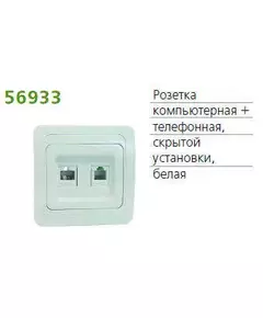 Розетка компьютерная + телефонная 2-м СП Classic POWERMAN 1151436