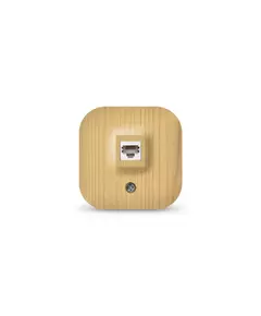 Розетка компьютерная ОП IP20 сосна IONICH 1443