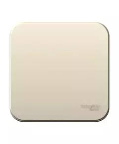 Выключатель 1-кл. ОП Blanca 10А IP20 (сх. 1) 250В с изолир. пластиной молочн. SE BLNVA101012