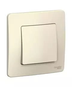 Выключатель 1-кл. СП Blanca 10А IP20 (сх. 1) 250В молочн. SE BLNVS010102