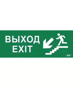 Этикетка самоклеящаяся "Выход/лестница вниз/фигура" ДПА IP20/54 IEK LPC10-1-24-09-VLVNF