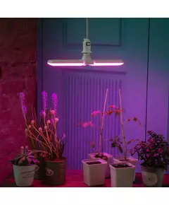 Лампа светодиодная LED-P65-16W/SPSB/E27/FR/P2 PLP32WH 16Вт P65 лепестковая матовая E27 для растений спектр для рассады и цветения (упак. картон) Uniel UL-00007406