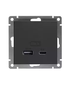 Розетка 2-м USB СП Афина тип А+С 5В 1х2.4А 2х4А механизм графит Universal А0059-Gr