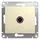 Механизм розетки TV 1-м СП Glossa 1DB беж. SchE GSL000291