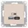 Механизм розетки USB AtlasDesign A+С 5В/2.4А 2х5В/1.2А беж. SchE ATN000239