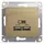 Розетка USB 2-м СП Glossa тип A+A 5В/2100мА 2х5В/1050мА механизм титан SchE GSL000433