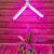 Лампа светодиодная LED-P65-16W/SPSB/E27/FR/P2 PLP32WH 16Вт P65 лепестковая матовая E27 для растений спектр для рассады и цветения (упак. картон) Uniel UL-00007406, изображение 2