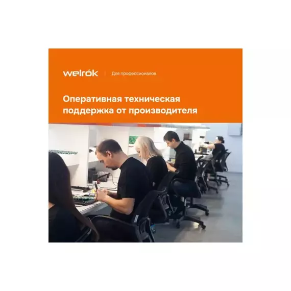 Терморегулятор pt bk Welrok 4660251140687, изображение 7