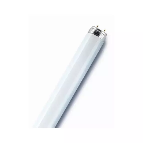 Лампа люминесцентная L 36W/840 LUMILUX 36Вт T8 4000К G13 смол. OSRAM 4058075692978