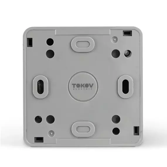Переключатель 1-кл. ОП Nix 10A IP54 250В сер. TOKOV ELECTRIC TKE-NX-P1-C06-IP54, изображение 3